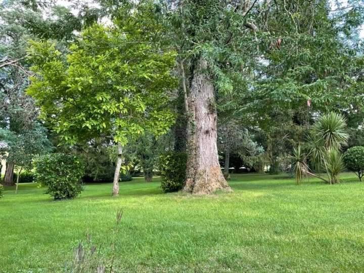 Allas-Bocage Les Demeures De La Laigne B&B 외부 사진