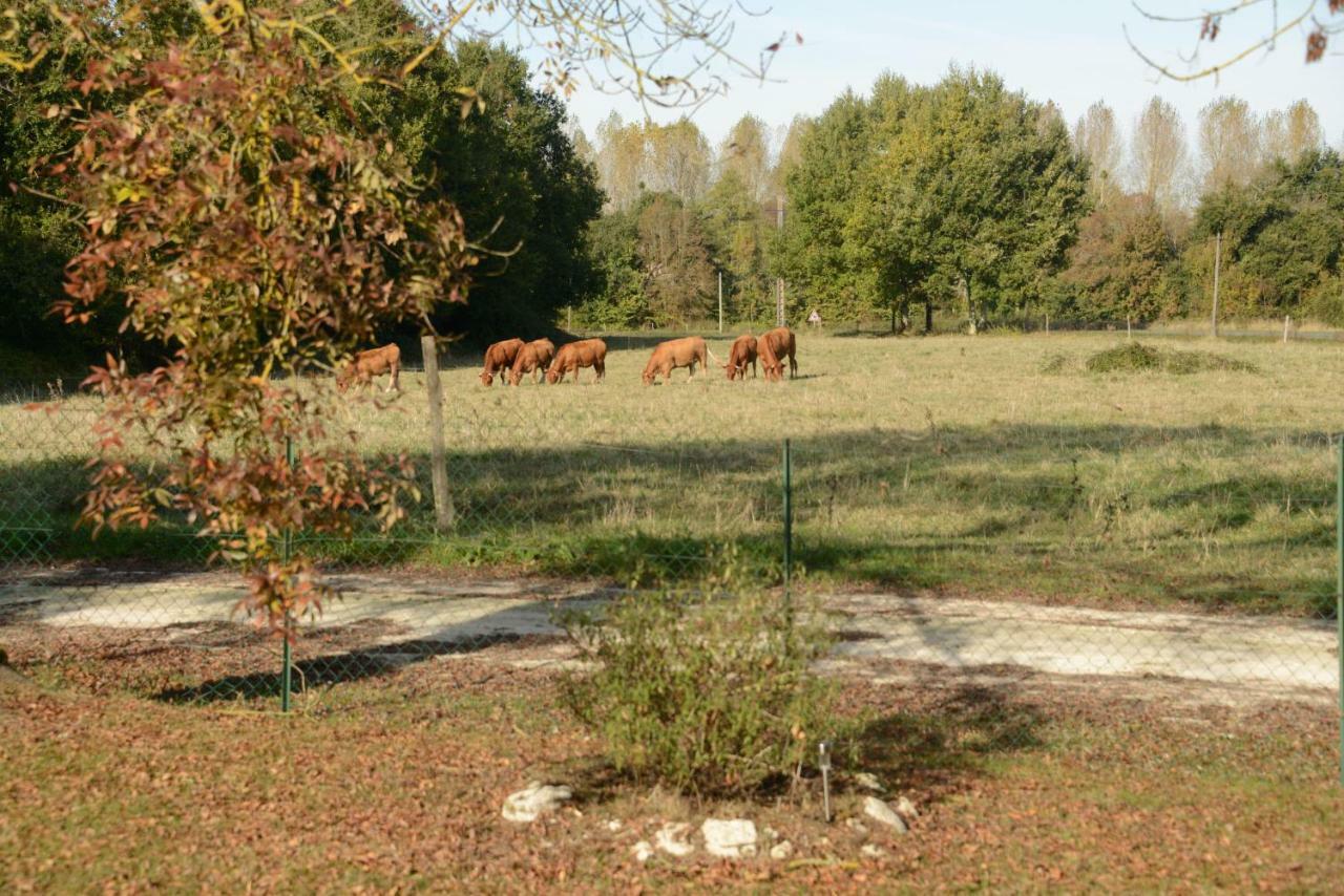 Allas-Bocage Les Demeures De La Laigne B&B 외부 사진